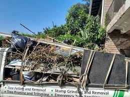 Best Residential Junk Removal  in Andrews, TX