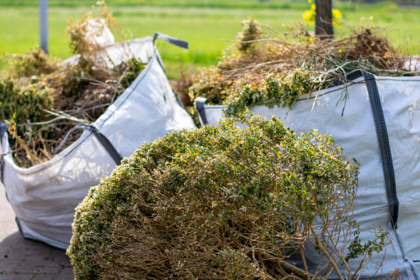 Best Carpet Removal and Disposal  in Andrews, TX